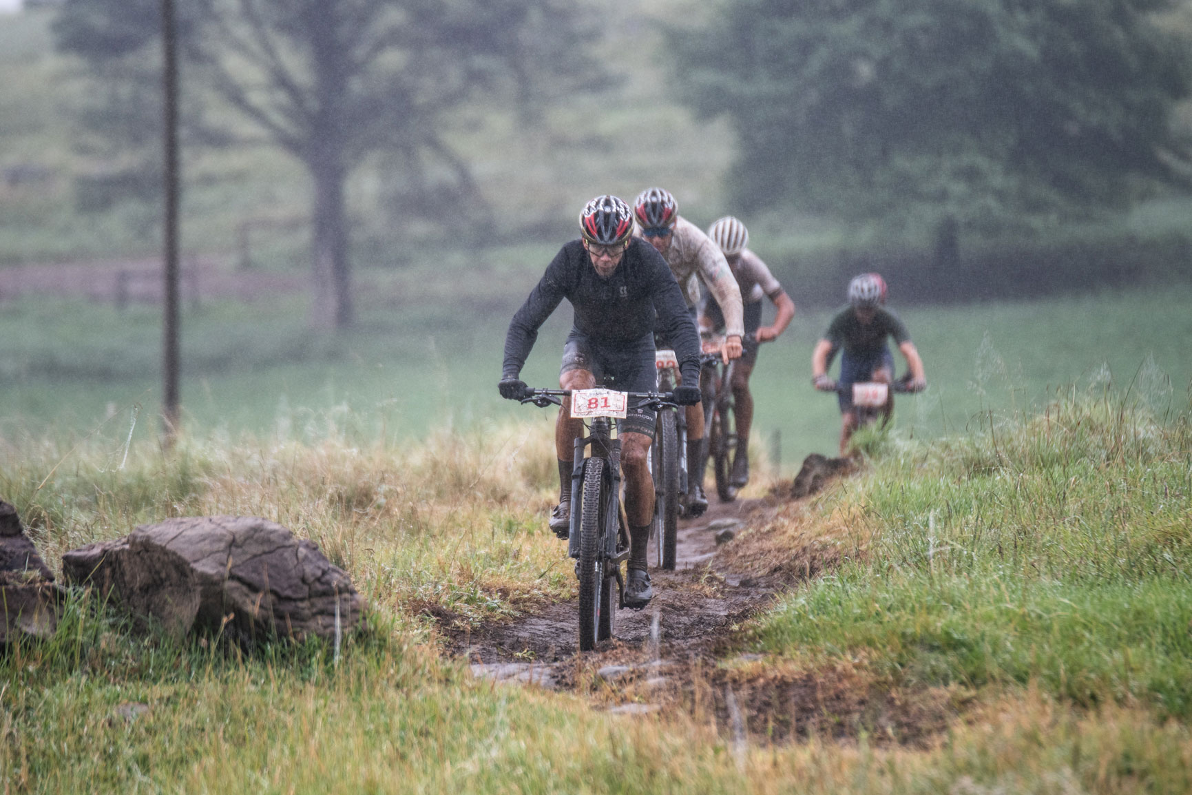 PYGA Euro Steel sweep Drak Descent